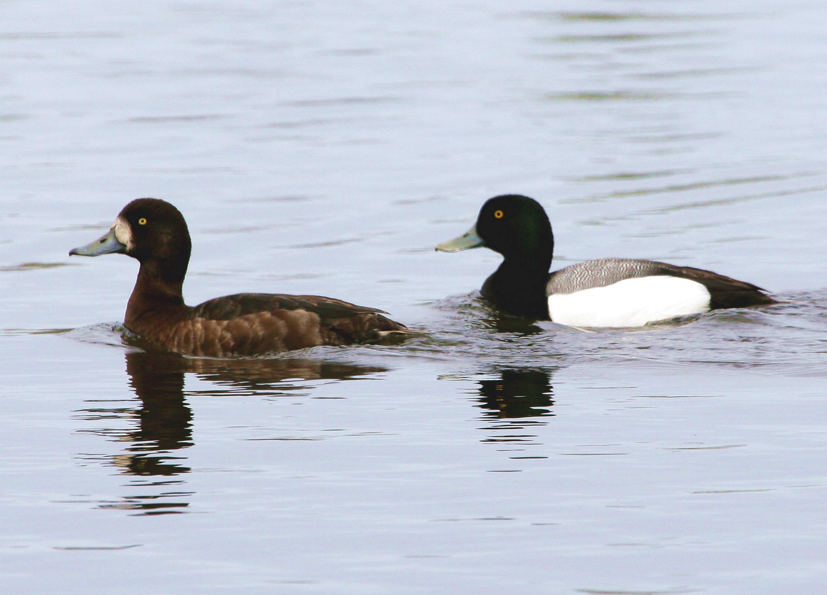 Bergand, bild 1
