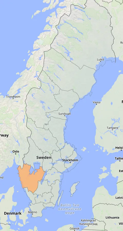 Vitvingad trut observationskarta